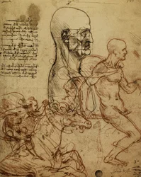 Study of Human Physiognomy and Horsemen for the Painting of the Battle of Anghiari